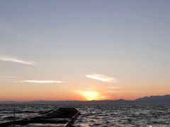 -呈贡滇池生态湿地公园