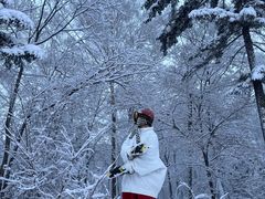 -长白山红松王滑雪场