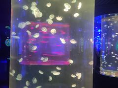 -南昌海洋公园