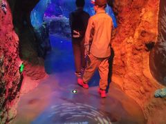 -沈阳海洋探索中心