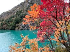-叠溪松坪沟景区
