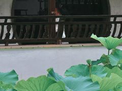 -拙政园