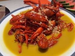 -杨氏青龙虾·羊蝎子(托乐嘉店)