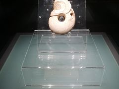 -辽宁省博物馆