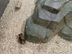 -顺德南宏海立方海洋公园