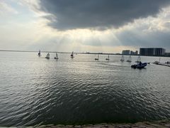 -碧海金沙