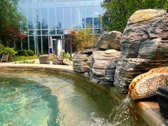 -中家鑫园温泉酒店鑫悦汤泉