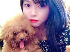 -more than meow吴止猫主题餐厅(承德 中船汇店)