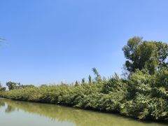 -泗洪洪泽湖湿地景区