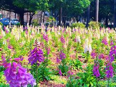 -华南师范大学(广州大学城校区)