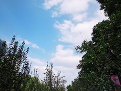 -元大都城垣遗址公园