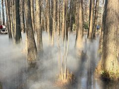 -东湖落雁景区
