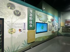 -国家自然博物馆