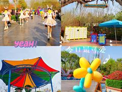 -郑州方特梦幻王国