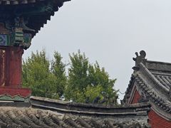 -洛阳白马寺