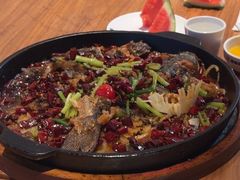 -老板恋上鱼(恒隆广场店)