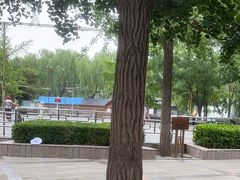 -团结湖公园
