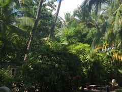 -三亚珠江南田温泉度假区