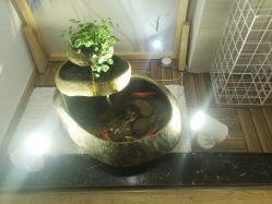 -溢美古法抗衰