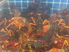 -指爱龙虾(金杨路总店)