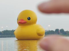 -深圳人才公园