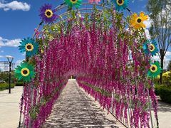 -霸王河欢乐世界