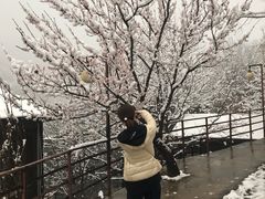 -Local泰莲庭(虹鳟鱼店)