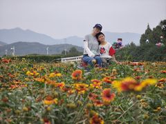 -君乐宝优致牧场
