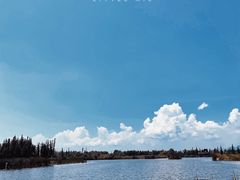 -呈贡滇池生态湿地公园