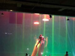 -芜湖新华联大白鲸海洋公园