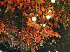 -郭家大院 老南京土菜(九霄店)