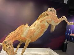 -生命奥秘博物馆