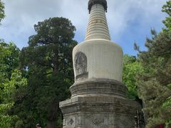 -大觉寺-停车场