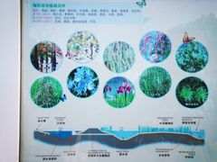 -昆山城市生态森林公园