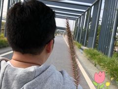 -光明小镇欢乐田园