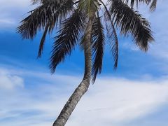 -石梅湾