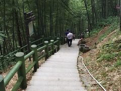 -藏龙百瀑风景区
