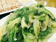 -金龙寨(龙城路店)
