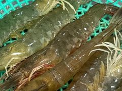 -濠轩阁特色生蚝火锅(水湾路店)