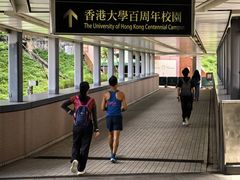 -香港大学