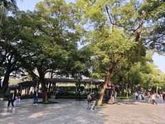 -荔湾湖公园