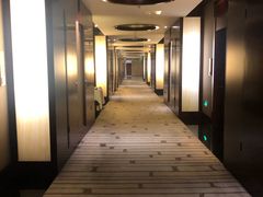 -北京首都机场希尔顿酒店