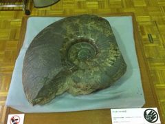 -北海道厅旧本厅舍(旧本庁舎)