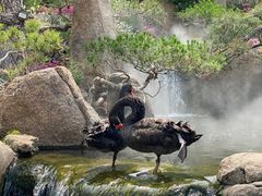 -罗红摄影艺术馆