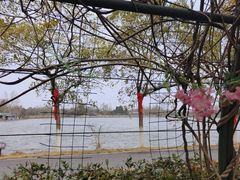 -张公山寨景区