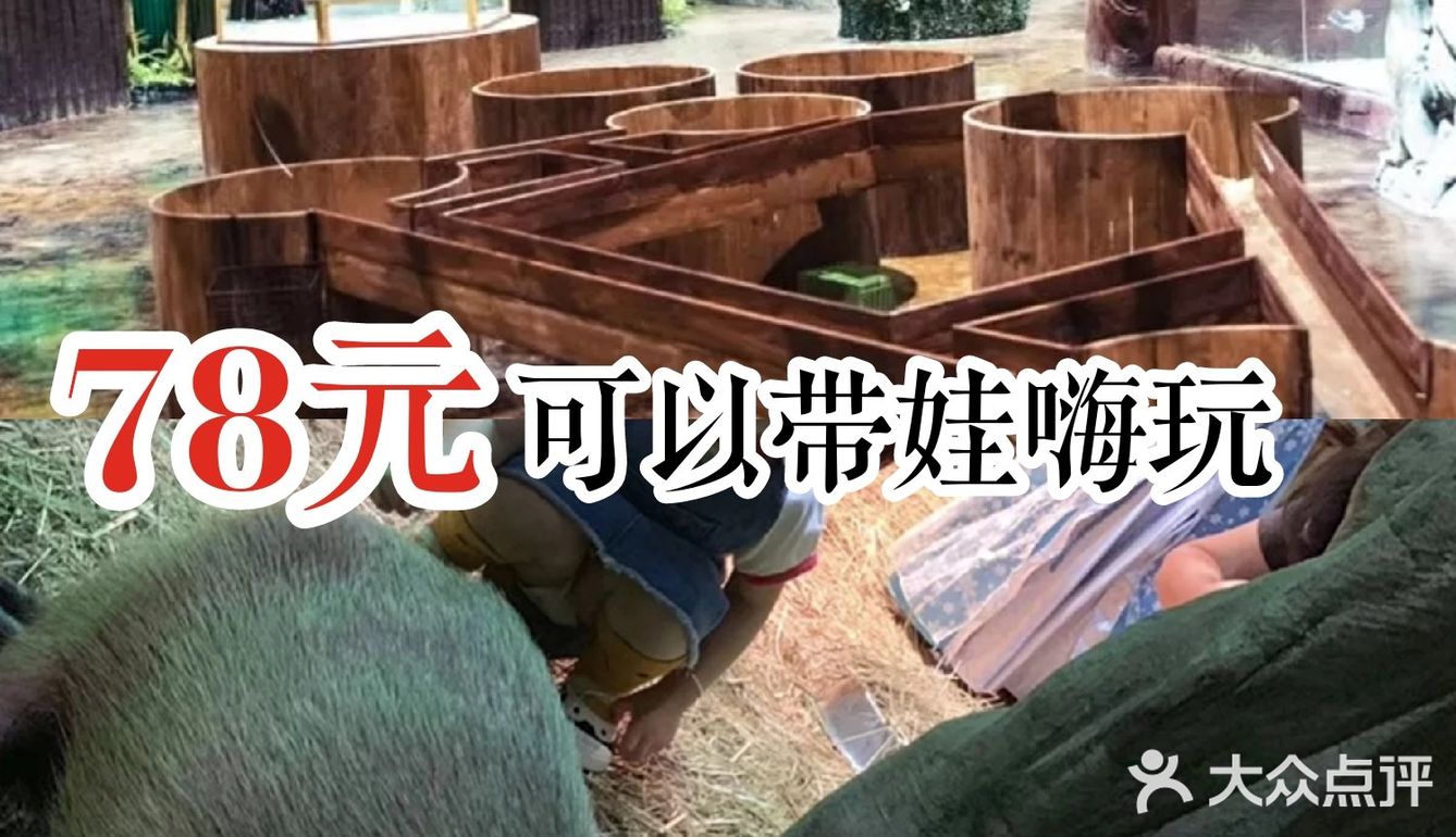 78元可以带娃嗨玩[亲亲]