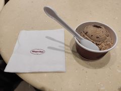 -哈根达斯(石家庄北国店)