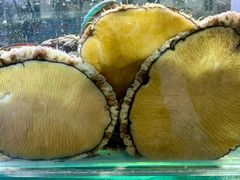 -来之顺海鲜菜馆·青岛菜·始于1993(栈桥店)