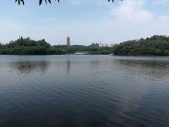 -三水森林公园