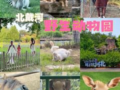 -秦皇岛野生动物园